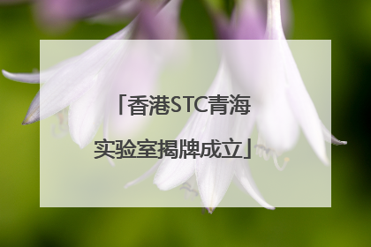 香港STC青海实验室揭牌成立