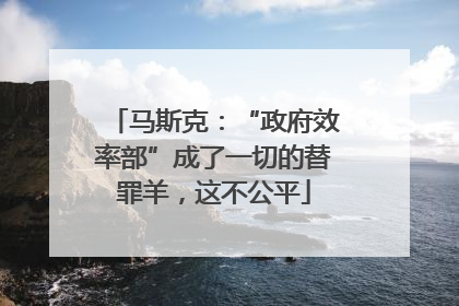 马斯克：“政府效率部”成了一切的替罪羊，这不公平