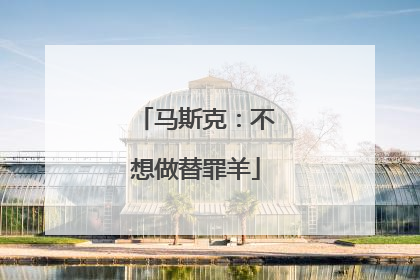 马斯克：不想做替罪羊