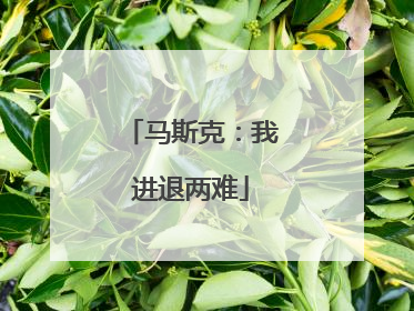 马斯克：我进退两难