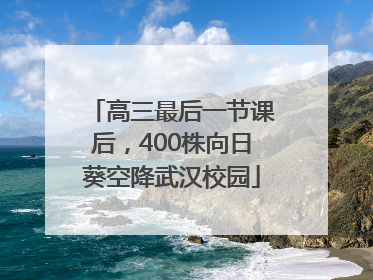 高三最后一节课后，400株向日葵空降武汉校园