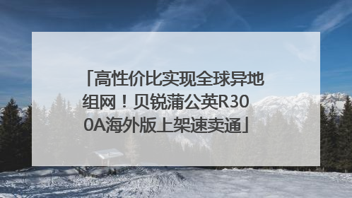 高性价比实现全球异地组网！贝锐蒲公英R300A海外版上架速卖通