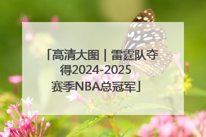 高清大图｜雷霆队夺得2024-2025赛季NBA总冠军