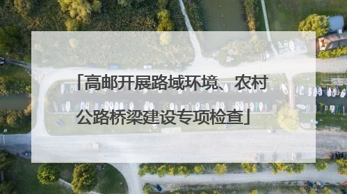 高邮开展路域环境、农村公路桥梁建设专项检查