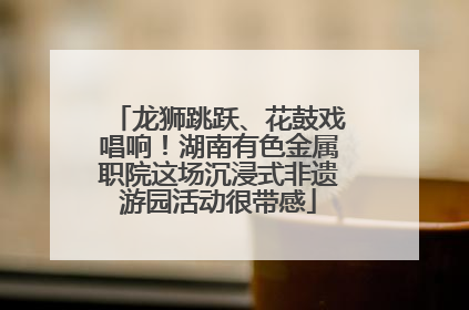 龙狮跳跃、花鼓戏唱响！湖南有色金属职院这场沉浸式非遗游园活动很带感