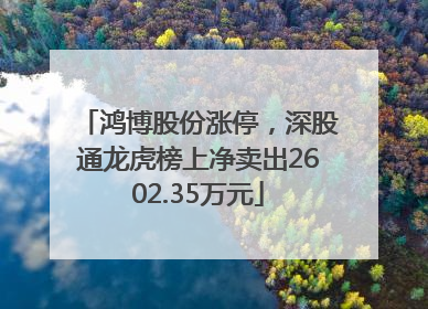 鸿博股份涨停，深股通龙虎榜上净卖出2602.35万元