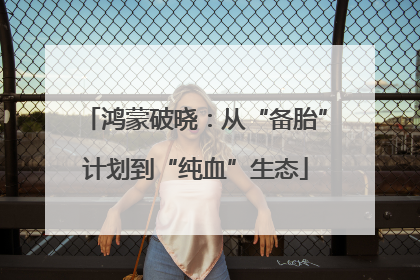 鸿蒙破晓：从“备胎”计划到“纯血”生态