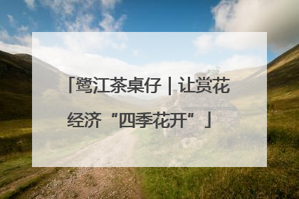 鹭江茶桌仔｜让赏花经济“四季花开”