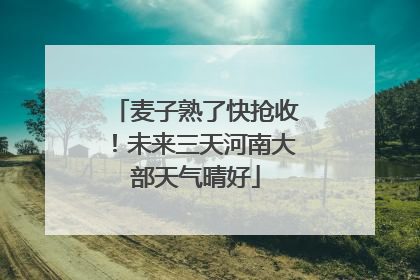 麦子熟了快抢收！未来三天河南大部天气晴好