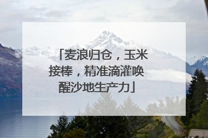 麦浪归仓，玉米接棒，精准滴灌唤醒沙地生产力