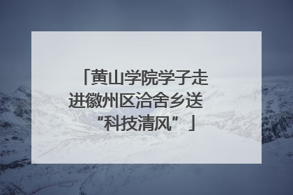 黄山学院学子走进徽州区洽舍乡送“科技清风”