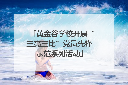 黄金谷学校开展“三亮三比”党员先锋示范系列活动