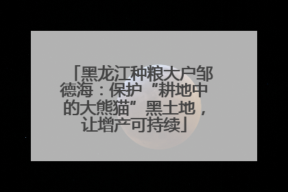 黑龙江种粮大户邹德海：保护“耕地中的大熊猫”黑土地，让增产可持续