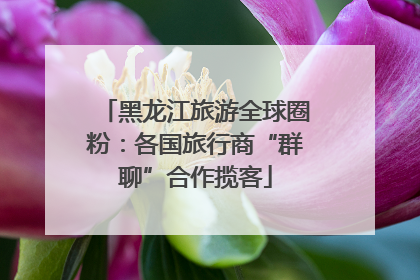黑龙江旅游全球圈粉：各国旅行商“群聊”合作揽客
