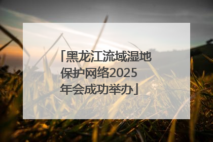 黑龙江流域湿地保护网络2025年会成功举办