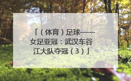 （体育）足球——女足亚冠：武汉车谷江大队夺冠（3）