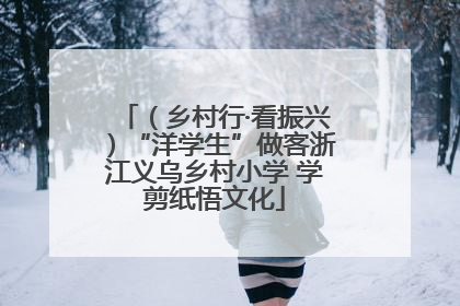 （乡村行·看振兴）“洋学生”做客浙江义乌乡村小学 学剪纸悟文化