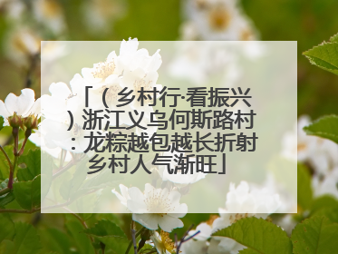 （乡村行·看振兴）浙江义乌何斯路村：龙粽越包越长折射乡村人气渐旺