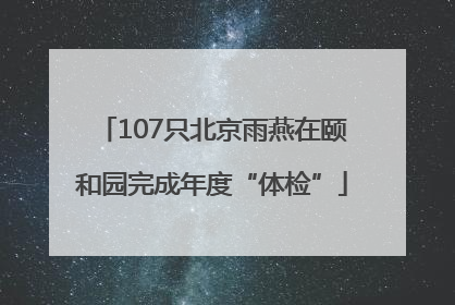 107只北京雨燕在颐和园完成年度“体检”
