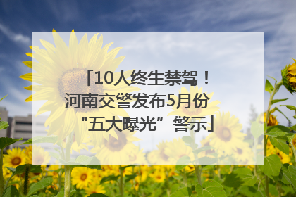 10人终生禁驾！河南交警发布5月份“五大曝光”警示
