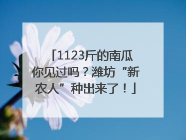 1123斤的南瓜你见过吗？潍坊“新农人”种出来了！