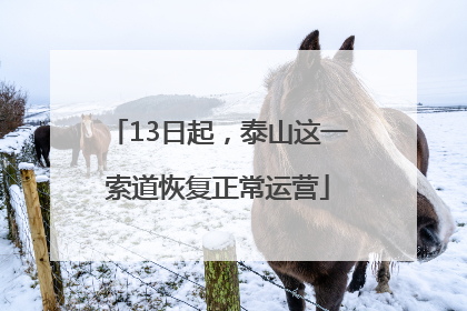 13日起，泰山这一索道恢复正常运营