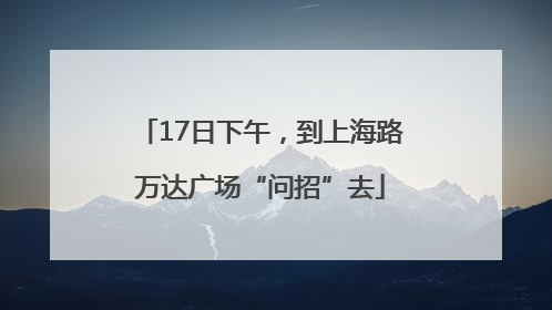 17日下午，到上海路万达广场“问招”去