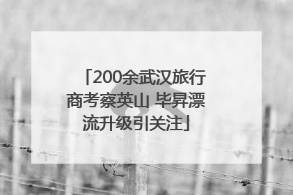 200余武汉旅行商考察英山 毕昇漂流升级引关注