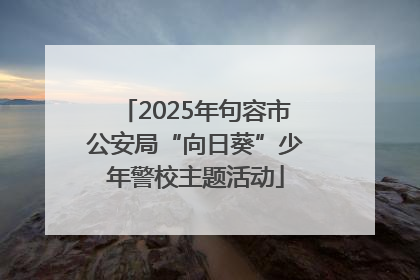 2025年句容市公安局“向日葵”少年警校主题活动