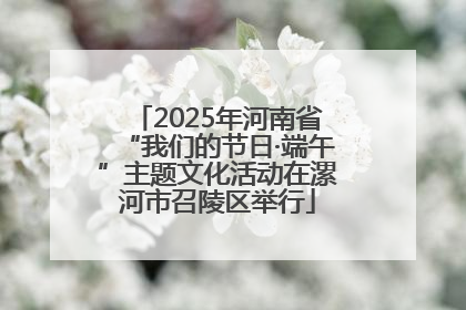2025年河南省“我们的节日·端午”主题文化活动在漯河市召陵区举行