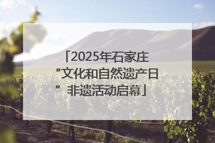 2025年石家庄“文化和自然遗产日”非遗活动启幕