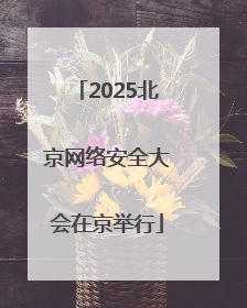 2025北京网络安全大会在京举行