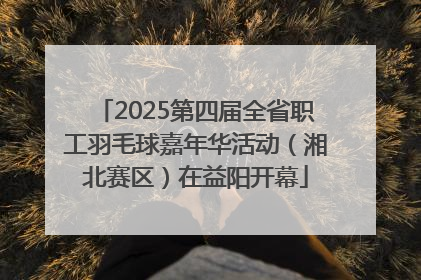 2025第四届全省职工羽毛球嘉年华活动（湘北赛区）在益阳开幕