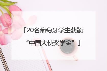 20名葡萄牙学生获颁“中国大使奖学金”