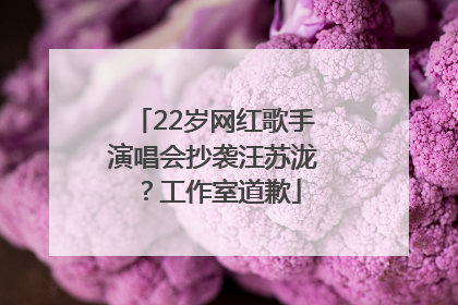 22岁网红歌手演唱会抄袭汪苏泷？工作室道歉