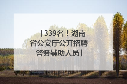 339名！湖南省公安厅公开招聘警务辅助人员