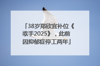 38岁郑欣宜补位《歌手2025》，此前因抑郁症停工两年