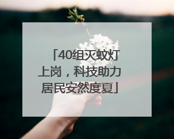 40组灭蚊灯上岗，科技助力居民安然度夏