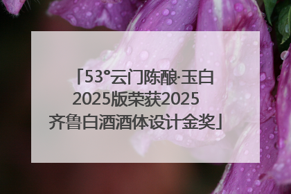 53°云门陈酿·玉白2025版荣获2025齐鲁白酒酒体设计金奖