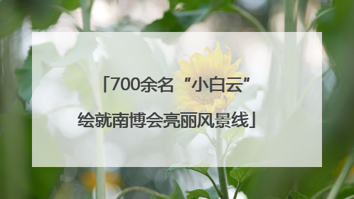 700余名“小白云”绘就南博会亮丽风景线