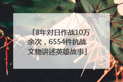 8年对日作战10万余次，6554件抗战文物讲述英雄故事