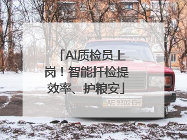 AI质检员上岗！智能扦检提效率、护粮安