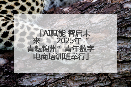 AI赋能 智启未来——2025年“青耘锦州”青年数字电商培训班举行