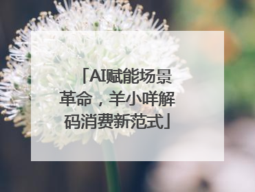 AI赋能场景革命，羊小咩解码消费新范式