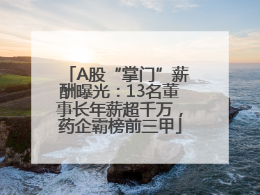 A股“掌门”薪酬曝光：13名董事长年薪超千万，药企霸榜前三甲