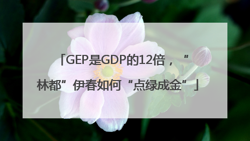 GEP是GDP的12倍，“林都”伊春如何“点绿成金”